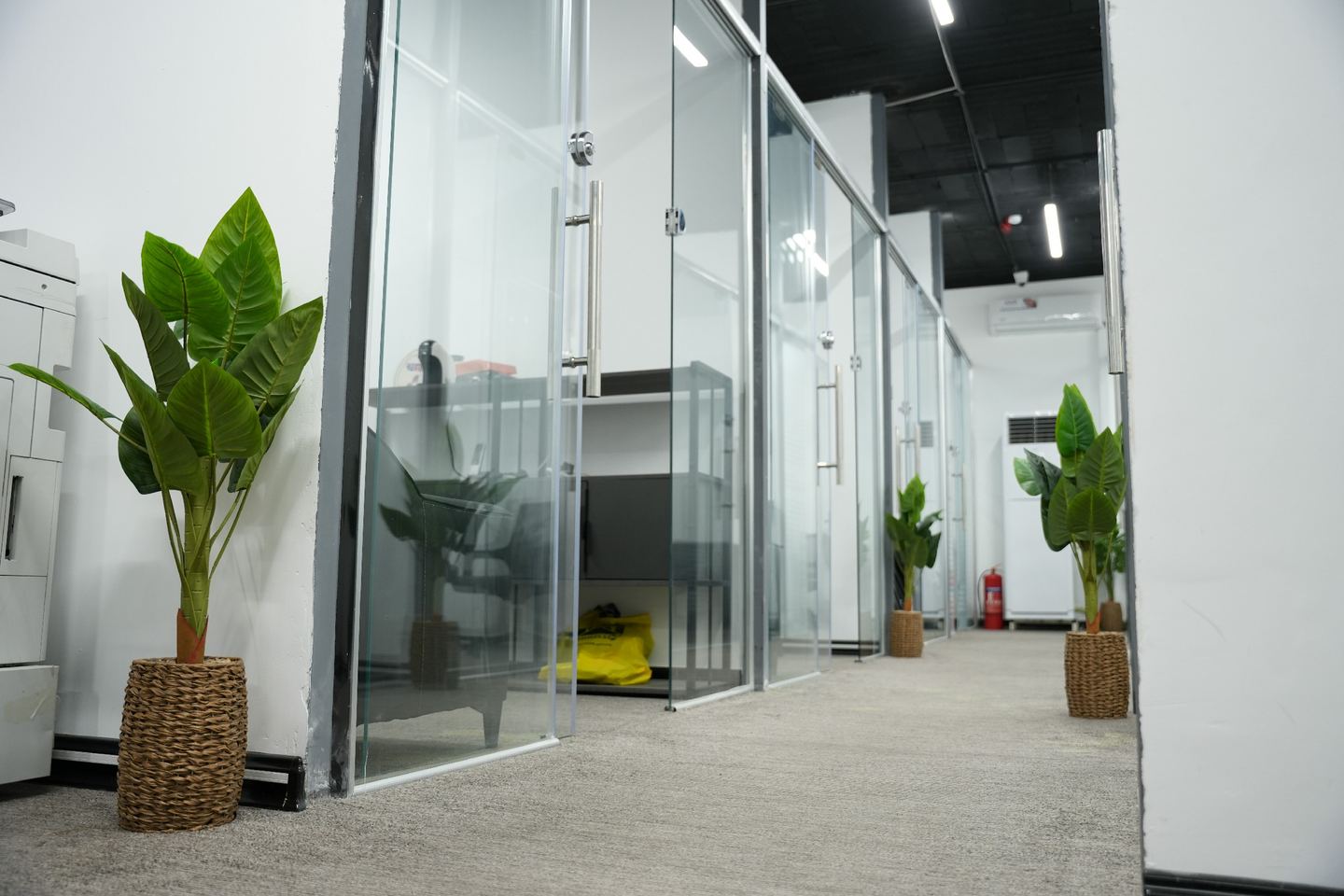 Glass-partitioned offices with plants