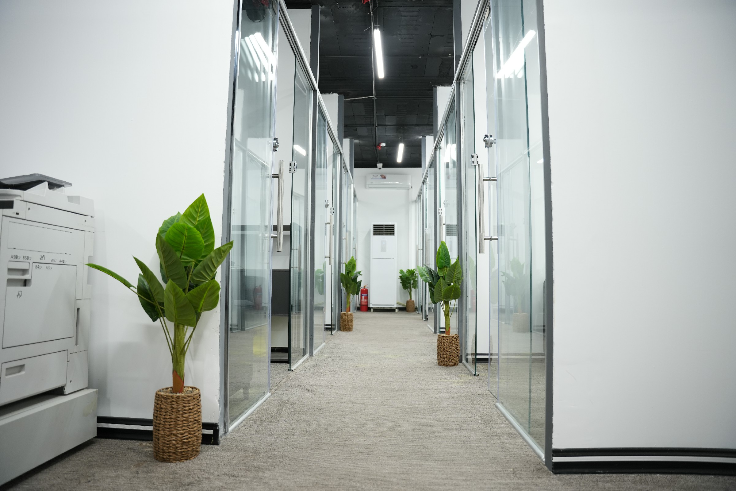 Office 6